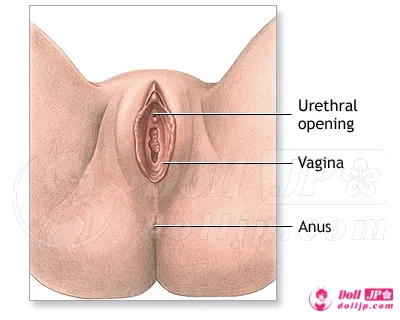 mmx-dual-layer-vagina-feature-1-JP
