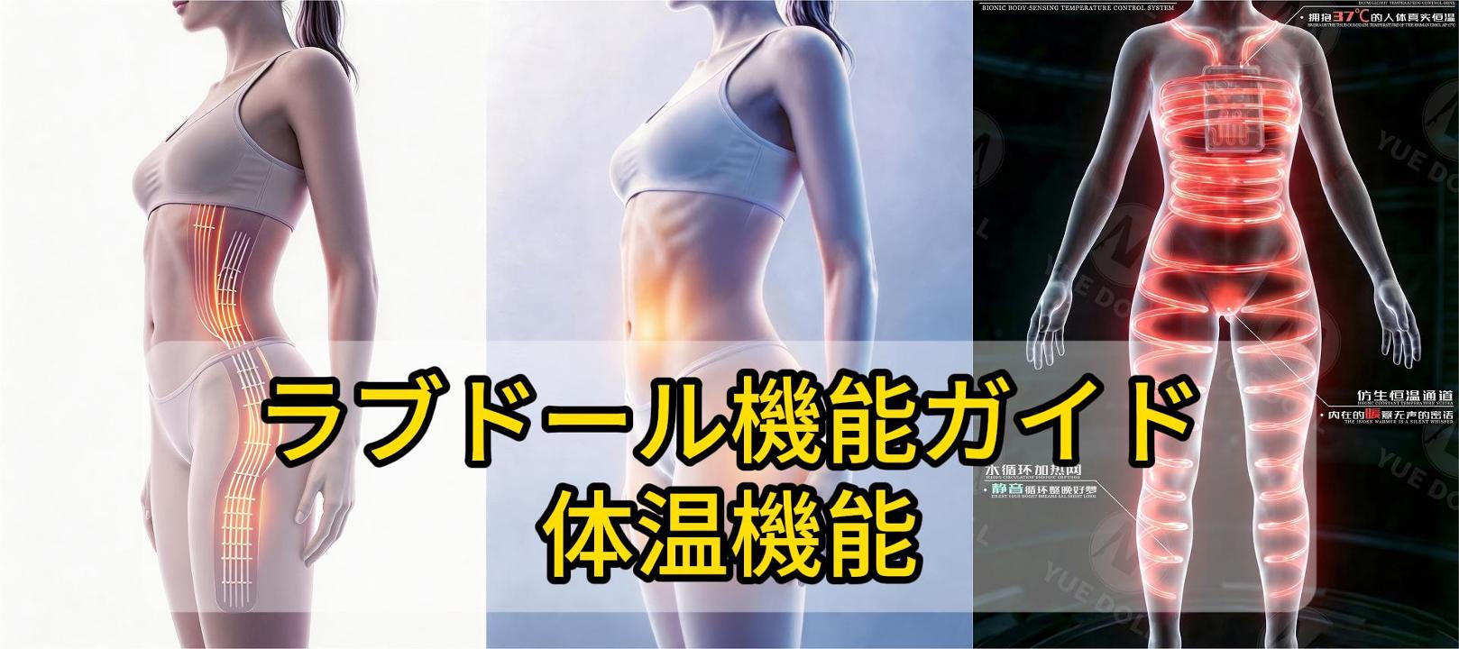 Sex Doll Function Guide Body Heating-jp